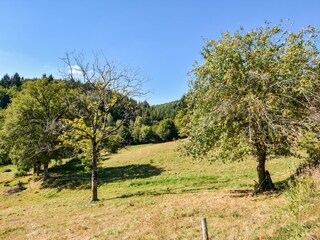 Ferienhaus Calvinet Außenaufnahme 9