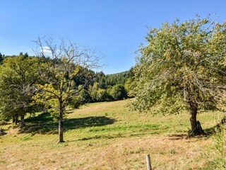 Vakantiehuis Calvinet Omgeving 33