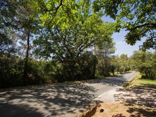 Vakantiehuis Saint-Antonin-du-Var Omgeving 35