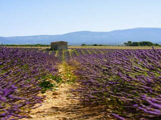 Villa Oppède Entorno 39