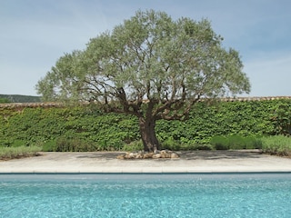 Villa Oppède Außenaufnahme 9