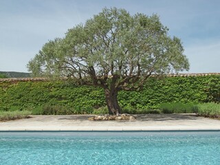 Villa Oppède Buitenaudio-opname 10