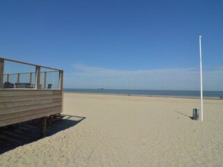 Maison de vacances Nieuwvliet Environnement 31