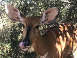 Casa de vacaciones Welt Entorno 28