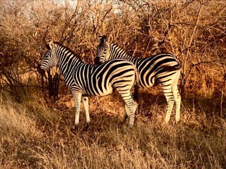 Holiday house Welt Environment 29