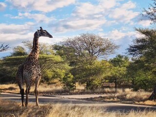 Ferienhaus Welt Umgebung 35