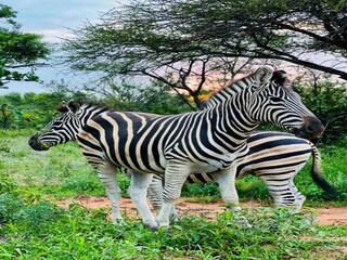 Ferienhaus Welt Umgebung 36