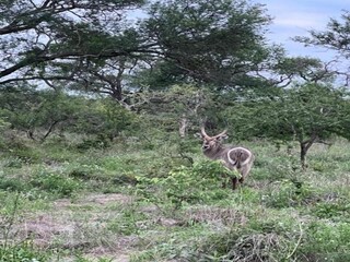 Holiday house Welt Environment 38