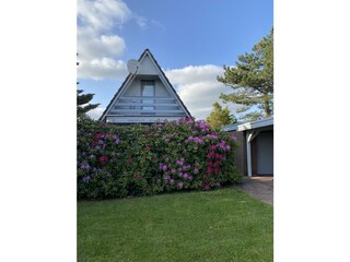 Casa per le vacanze Südbrookmerland Registrazione all'aperto 3