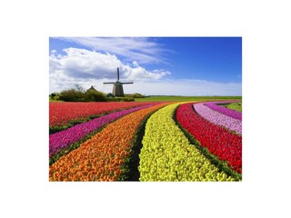 Appartamento per vacanze Julianadorp Ambiente 21