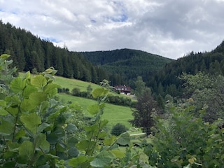 Blick auf unser Haus