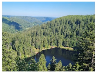 Blick auf den Glaswaldsee