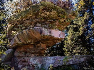 Kastelstein