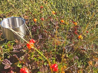 Holiday house Welt  26