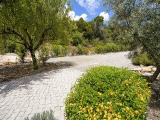 Villa Foupana Grabación al aire libre 9