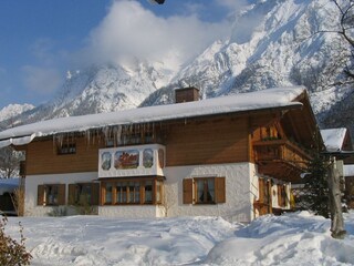 Haus Rotbuche im Winter