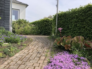 Holiday house Winterberg Outdoor Recording 6