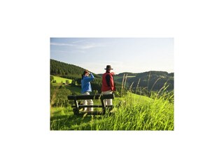 Casa per le vacanze Winterberg Ambiente 35