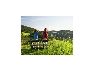 Vakantiehuis Winterberg Omgeving 35