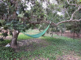 Vakantiehuis Cala Vadella Buitenaudio-opname 12