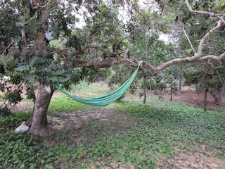 Holiday house Cala Vadella Outdoor Recording 12