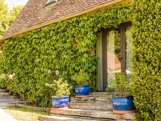 Ferienhaus Auriac-du-Périgord Außenaufnahme 10