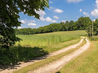 Casa de vacaciones Auriac-du-Périgord Entorno 33