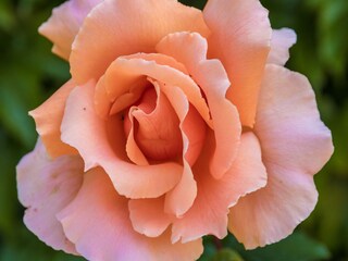 Casa per le vacanze Auriac-du-Périgord  40