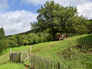 Bauernhof Terrou Außenaufnahme 8