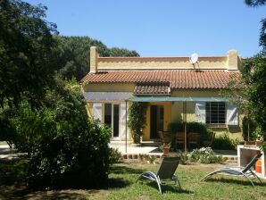 Gemütliches Ferienhaus in Ramatuelle mit Garten