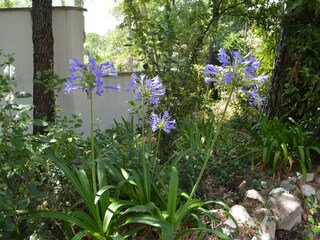 Vakantiehuis Saint-Paul-en-Forêt  39