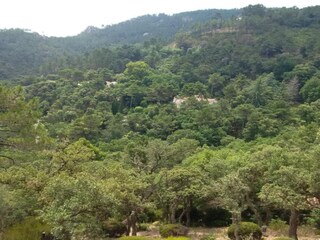 Maison de vacances Saint-Paul-en-Forêt Environnement 30