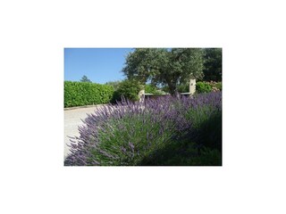 Appartamento Montauroux  40