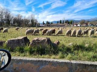 Appartamento Montauroux Ambiente 28