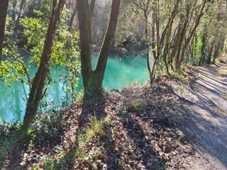 Appartamento Montauroux Ambiente 29