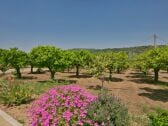 Casa de campo Joppolo Grabación al aire libre 1