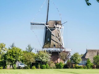 Vakantiehuis Moddergat Omgeving 31