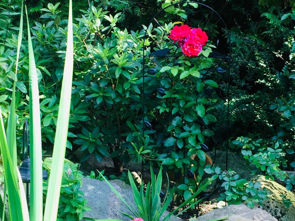 Casa de vacaciones Borek Grabación al aire libre 1