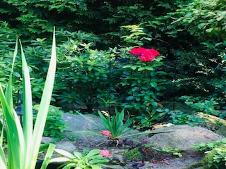 Casa per le vacanze Borek Registrazione all'aperto 4