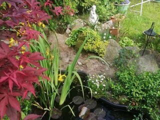 Vakantiehuis Borek Buitenaudio-opname 2