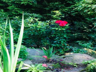 Maison de vacances Borek Enregistrement extérieur 8