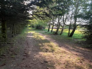 Vakantiehuis Borek Omgeving 33