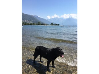 Appartamento per vacanze Colico Caratteristiche 29