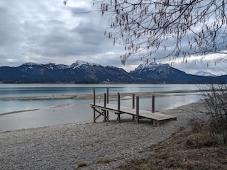 Forggensee im Frühling