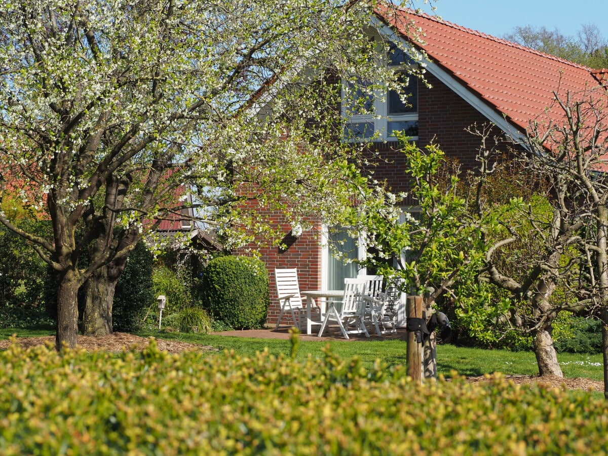 Blick auf die Terrasse mit Garten