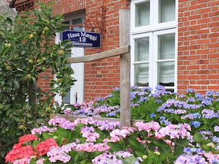 Ferienhaus Wyk auf Föhr Außenaufnahme 2