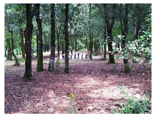 Casa per le vacanze Bucine Registrazione all'aperto 6