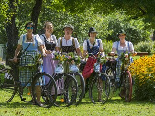 Appartamento per vacanze Bad Goisern Ambiente 33