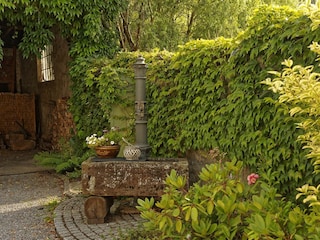 Brunnen im Hof