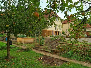 Garten mit Afel Baume